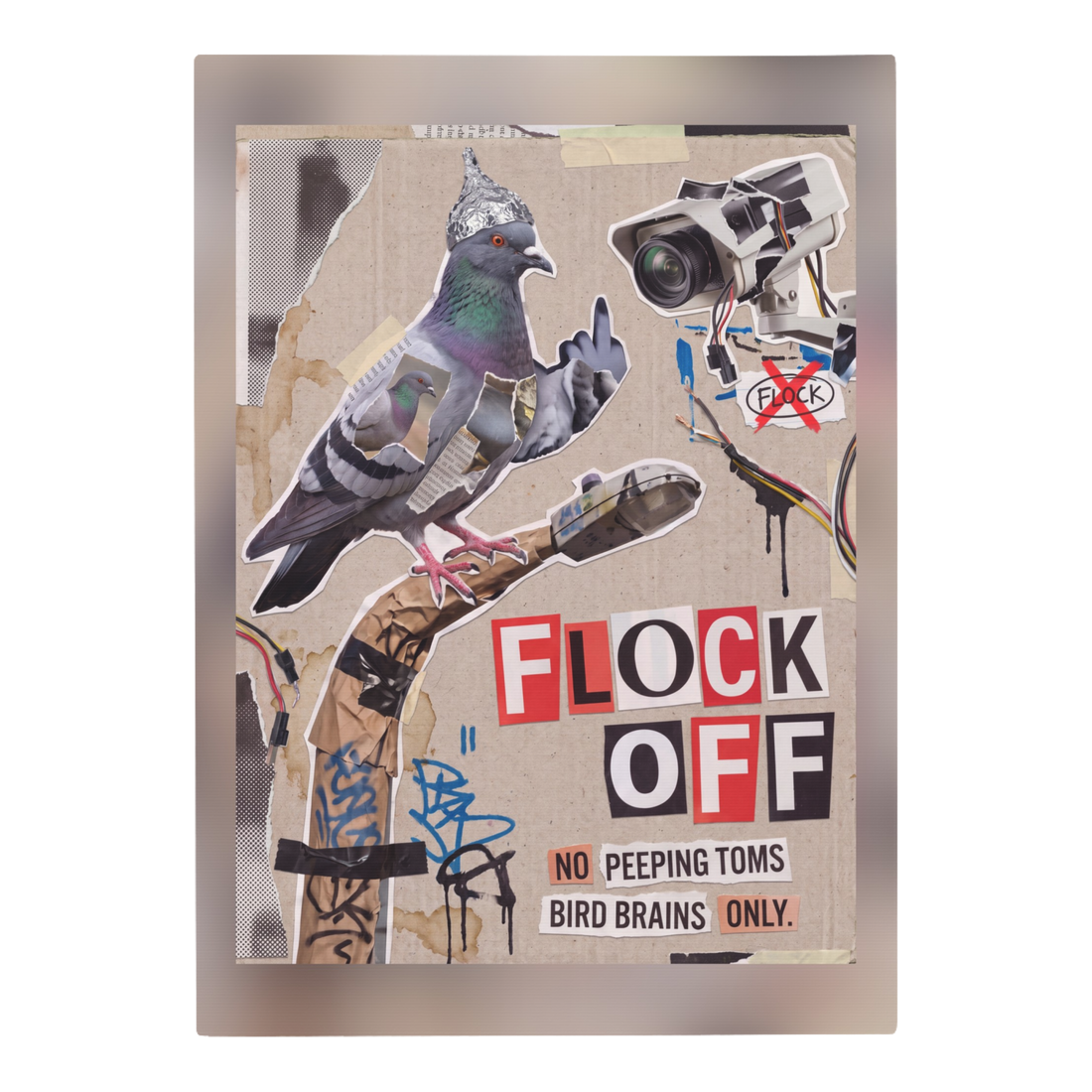 Collage pigeon in a tin-foil hat flipping off one of the Flock cameras, FLOCK OFF, on canvas wall art — 0.75''