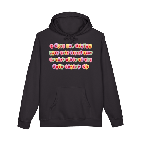 Stolen Data Sweethearts Hoodie — Center Valentine Cybersecurity Breach — Black