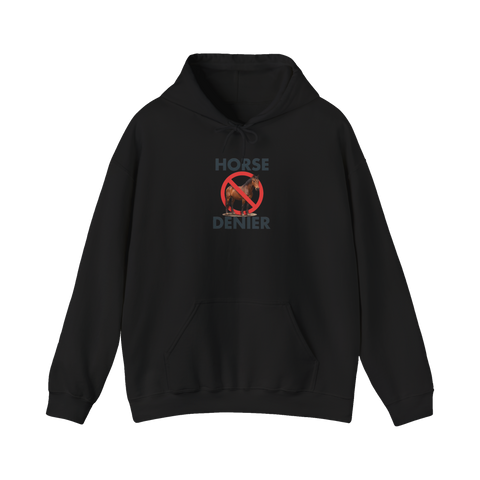 Stop Believing In Horses Hoodie — Funny Conspiracy Gift — Black