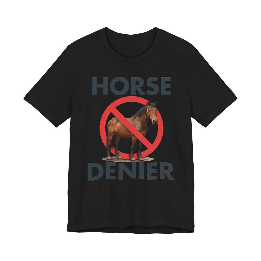 Stop Believing In Horses T-Shirt Fake Conspiracy Meme — Black