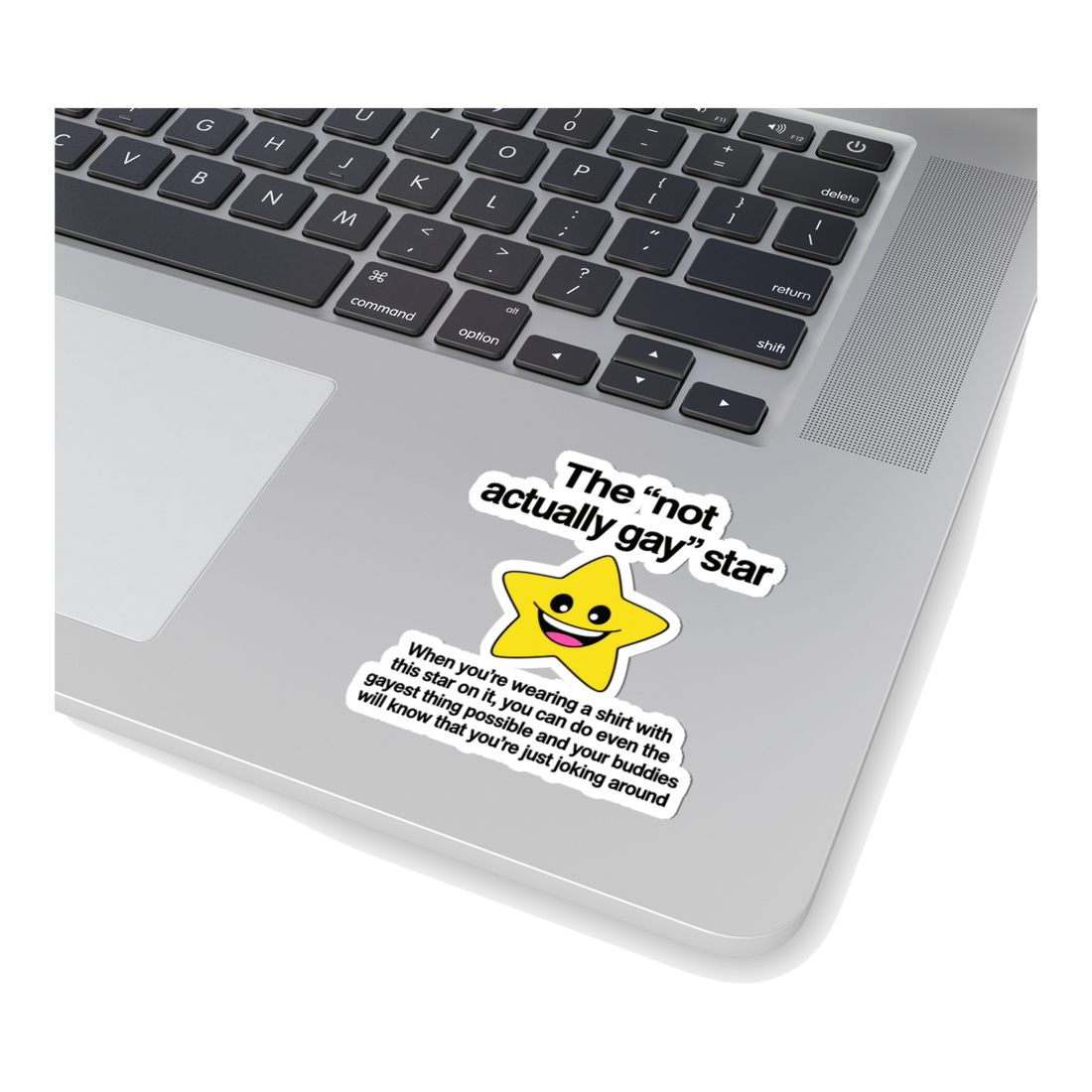 The Not Actually Gay Star Sticker — Cartoon Irony Masculinity Homies — White