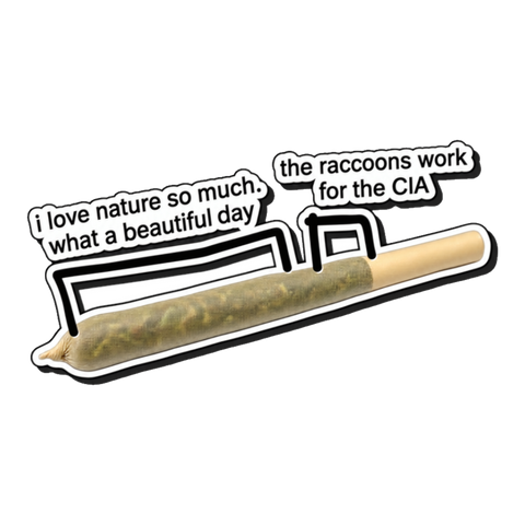 The Raccoons Work For The CIA Sticker — Weed Joint Meme Marijuana 420 — White