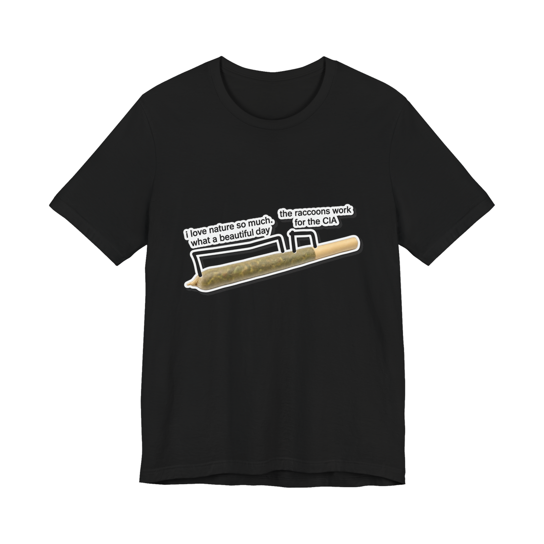 A t-shirt with a diagram showing a joint leading to the realization that raccoons work for the CIA.