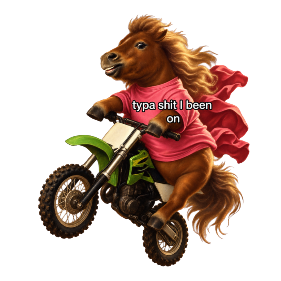 Typa Shit I Been On Sticker — Funny Pony Dirt Bike — White