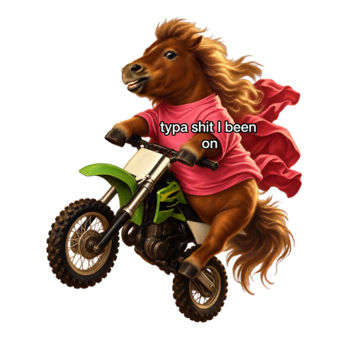 Typa Shit I Been On Sticker — Funny Pony Dirt Bike — White