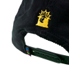 Civil War 2 Veteran Hat