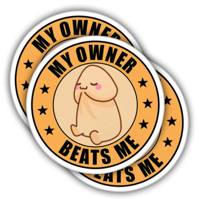 My Owner Beats Me Sticker (3 Pack)