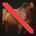 Stop Believing In Horses — Sticker — view 8