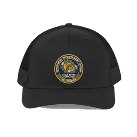 Continuous Improvement Division Hat — Funny Corporate Cap