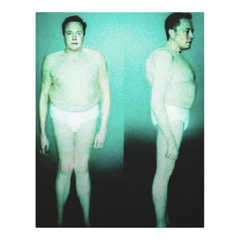 Grainy classified intake photo of a pale tech billionaire in underwear awaiting alien deportation.