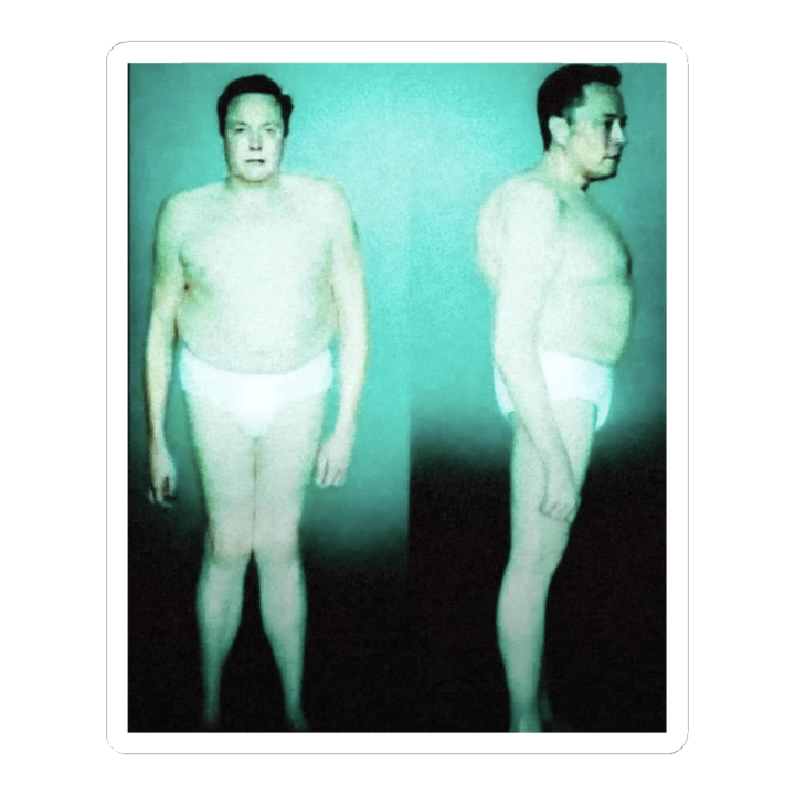 Funny alien meme sticker showing a classified deportation photo of a tech billionaire in tighty-whities.