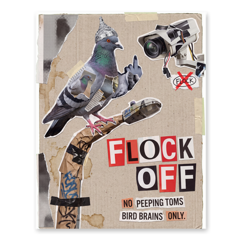 Flock Off Poster — Funny Birds Aren't Real Wall Art