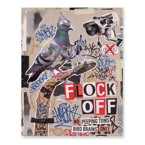 Flock Off Poster — Funny Anti-Surveillance Camera Wall Art