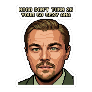 The 25-Year Glitch Sticker — Funny Quarter-Life Crisis Decal