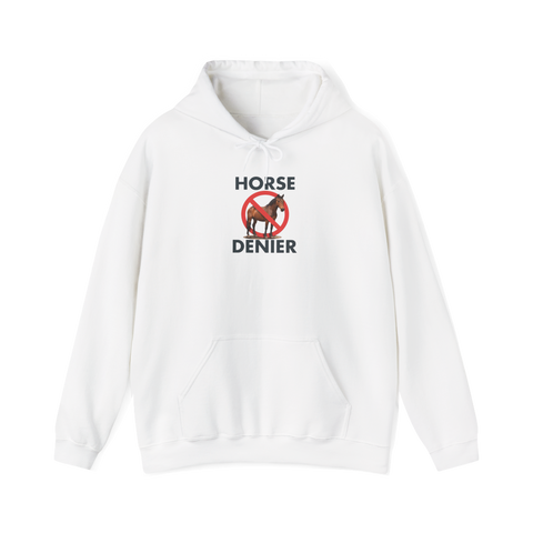 Stop Believing In Horses Hoodie — Funny Conspiracy Gift — White
