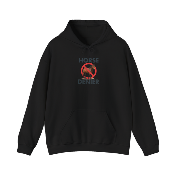 Stop Believing In Horses Hoodie — Funny Conspiracy Gift — Black
