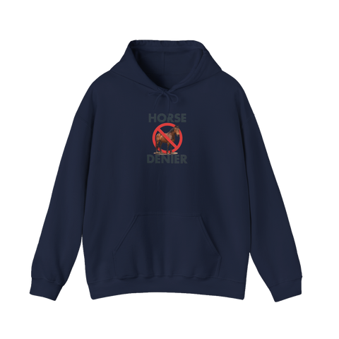 Stop Believing In Horses — Hoodie