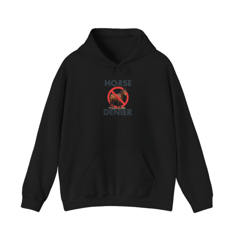 Stop Believing In Horses — Hoodie