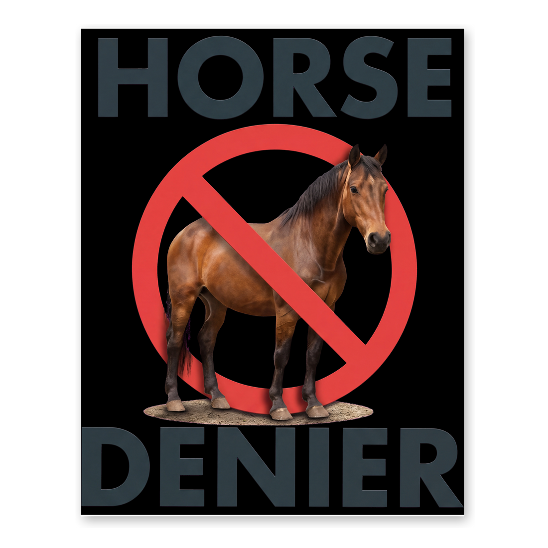 Stop Believing In Horses — Funny Conspiracy Theory Poster