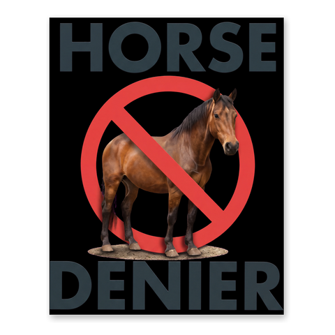 Stop Believing In Horses — Funny Conspiracy Theory Poster