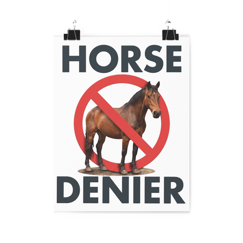 Stop Believing In Horses — Poster