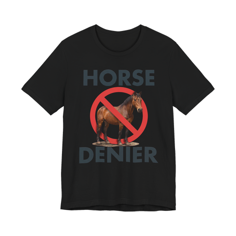 Stop Believing In Horses T-Shirt Fake Conspiracy Meme — Black
