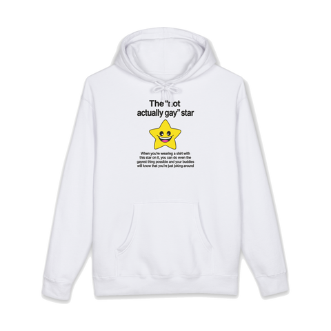 A yellow cartoon star with the text Not Actually Gay on a hoodie